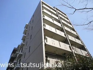 ゴコウエテルナーレの画像