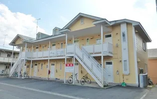 プリムローズの画像