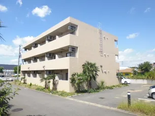 サーフライダーの画像