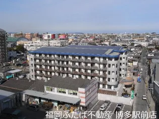 ニューガイア空港通りの画像