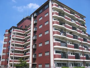 センチュリーアスカ6【2階】の外観