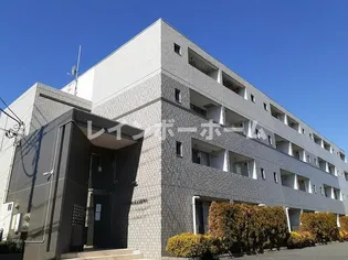 フローリド カシワの画像