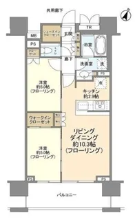 クレヴィア新宿若松町【5階】の間取り
