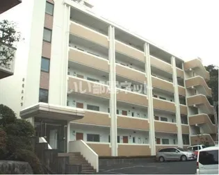 井堀ハイツの画像