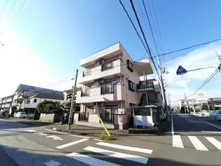 ファステ テームの画像