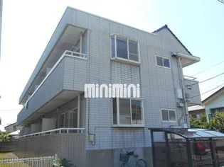 ブルームの画像