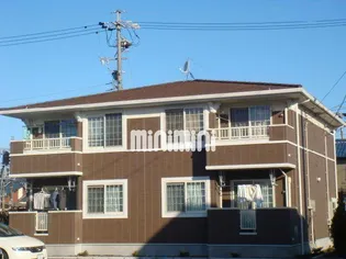 サンフラワーAの画像