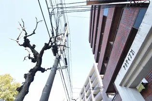 アクティブ21の画像