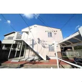 タウニィ酒井の画像