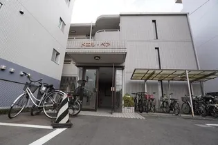 ドエル ペアの画像