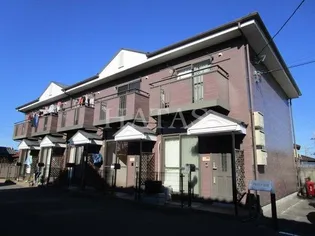 アゼリア荒井の画像