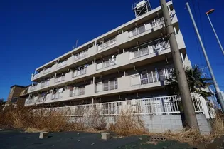 エレガンス小町の画像