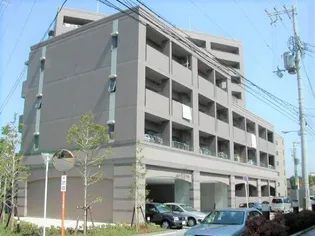 JEUNE Kの画像