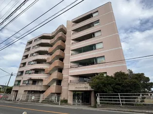 サンシャイン岡本【4階】の外観