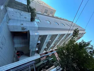 埼玉県さいたま市浦和区仲町1【マンション】の外観