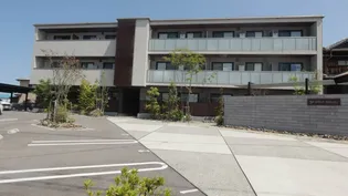 アルフラット サクラの画像