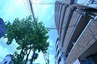 パーク朝日の画像