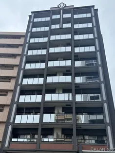 ギャラン菅原の画像