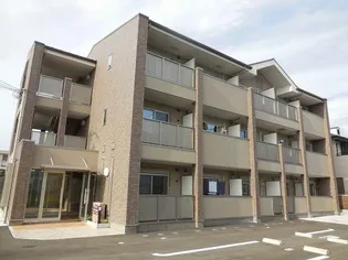 フェリスウラタの画像