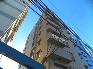 SKコートIIの画像