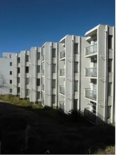 シルクカスタニアの画像