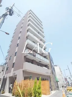 EXCELENTE SAIの画像