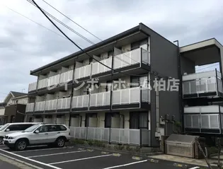 クリサンスマムIIの画像