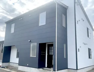 ソラリスの画像