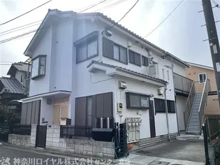 フラッシュうめの画像