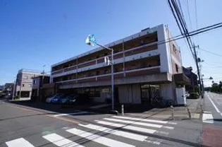 グレイスメイの画像