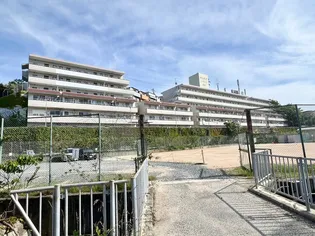 グランディア ミ アモーレ鈴蘭台の画像