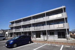 Y&M SAKURAIIIの画像