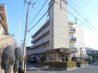 ミラージュの画像