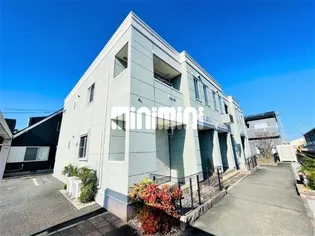 サザンクロスの画像