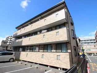 インパチェンスの画像