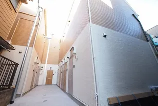 OJ HILLS FIRSTの画像