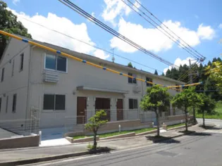 SUNFLOWER HILLSの画像
