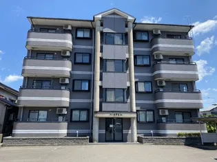 サンモデストの画像