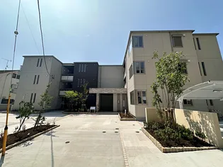 ベアフルートの画像