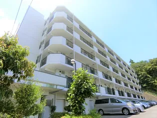 イトーピラ向ヶ丘弐番館【5階】の外観