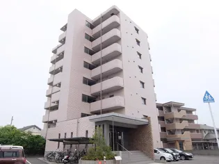 ホワイトライトの画像