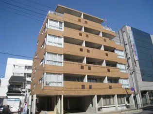 パインベルテIIの画像