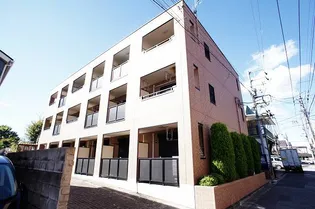 ロータス ブルーの画像