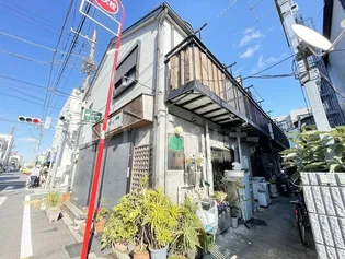 ルナリアの画像