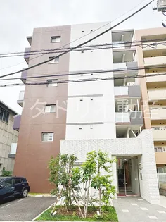 ヴィオラコートの画像