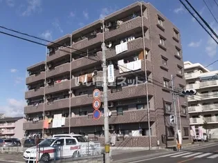 Y&M TAKAHASHI Iの画像