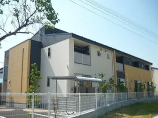 オットデリィーリスの画像