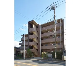 オキザリスの画像