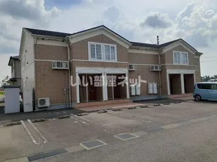 ルネサンスBの画像