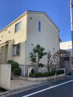 グレースMの画像